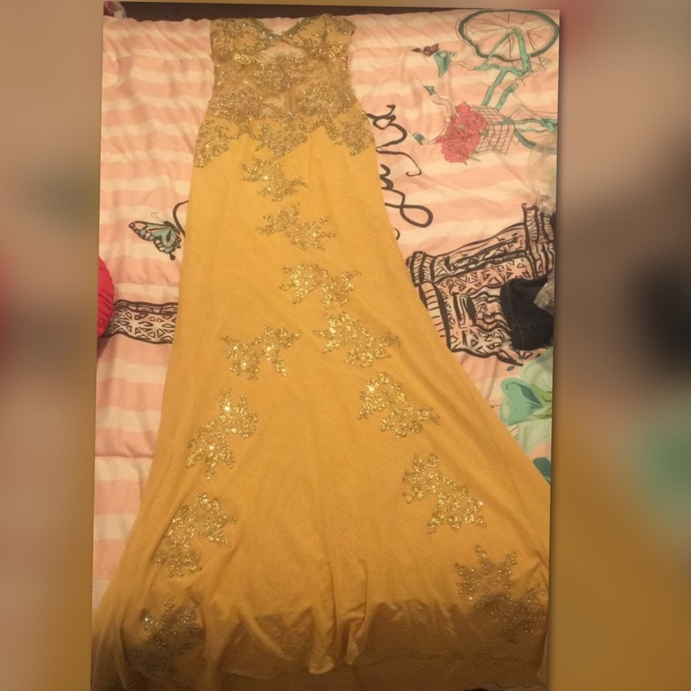 Beautiful gown dress